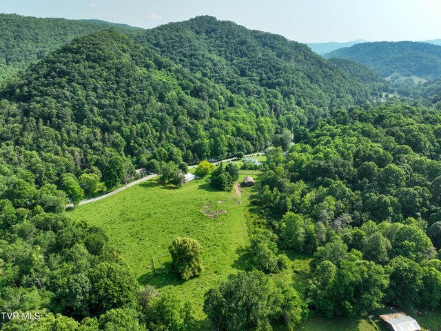 325 Cove Creek Rd, Roan Mountain, TN 37687