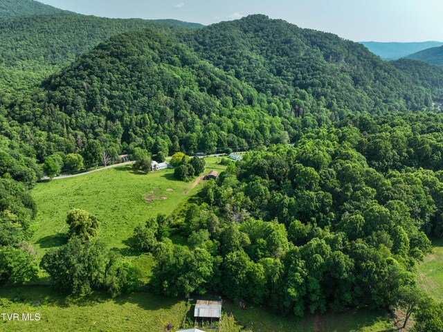 325 Cove Creek Rd, Roan Mountain, TN 37687