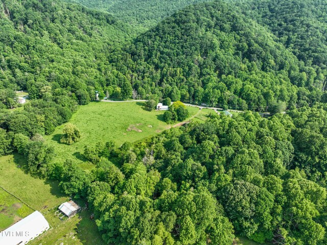 325 Cove Creek Rd, Roan Mountain, TN 37687