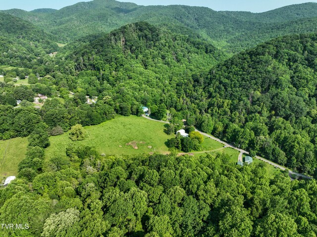 325 Cove Creek Rd, Roan Mountain, TN 37687