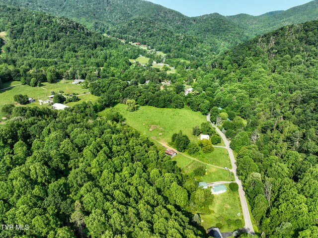 325 Cove Creek Rd, Roan Mountain, TN 37687