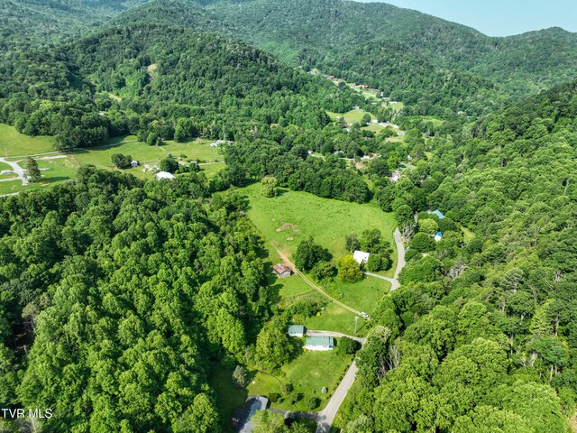 325 Cove Creek Rd, Roan Mountain, TN 37687