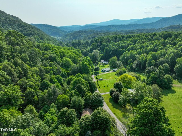 325 Cove Creek Rd, Roan Mountain, TN 37687
