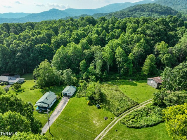 325 Cove Creek Rd, Roan Mountain, TN 37687