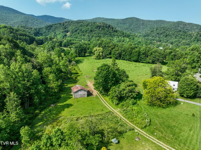 325 Cove Creek Rd, Roan Mountain, TN 37687