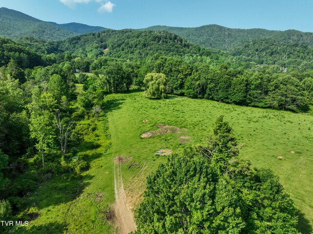 325 Cove Creek Rd, Roan Mountain, TN 37687