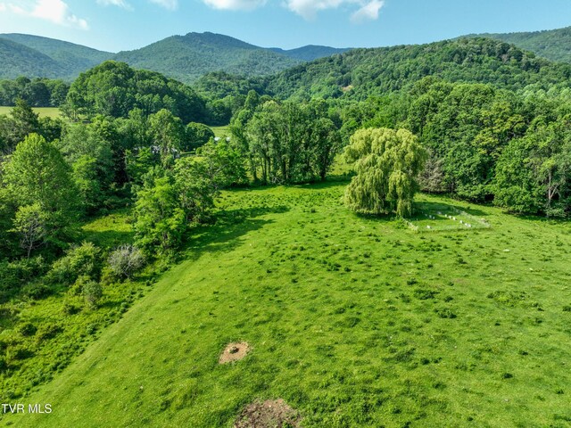 325 Cove Creek Rd, Roan Mountain, TN 37687