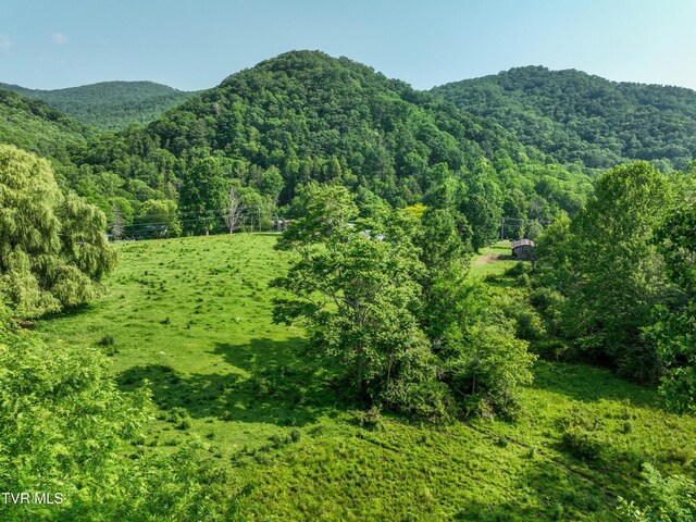 325 Cove Creek Rd, Roan Mountain, TN 37687
