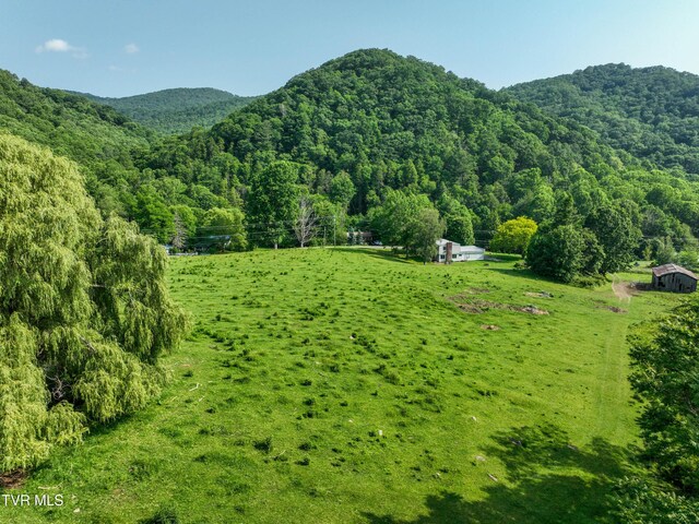 325 Cove Creek Rd, Roan Mountain, TN 37687