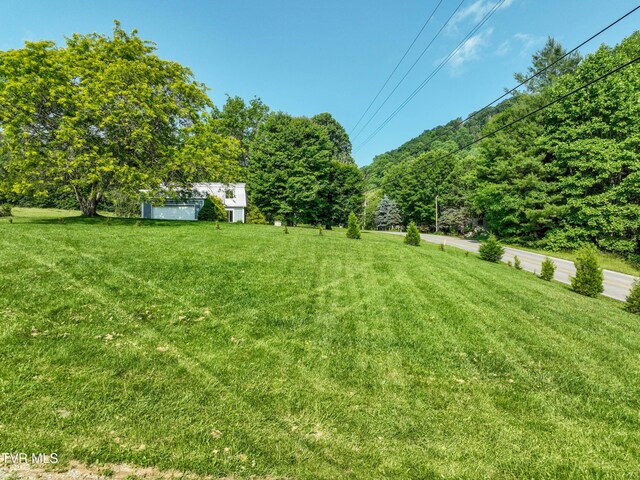 325 Cove Creek Rd, Roan Mountain, TN 37687