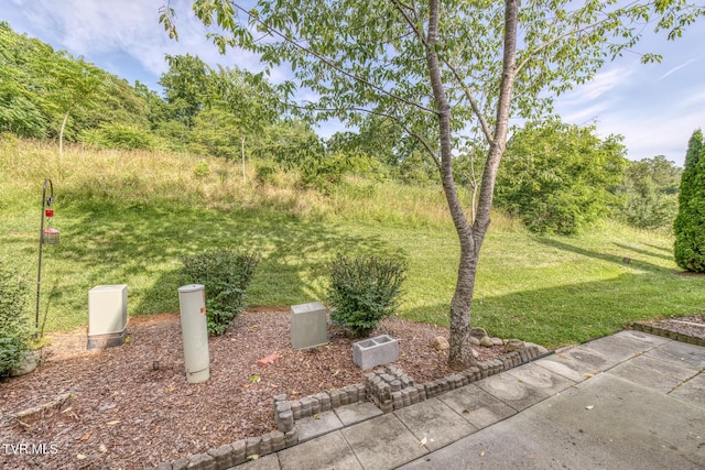 603 Stratford Ct Unit 603, Gray, TN 37615 - view of green lawn