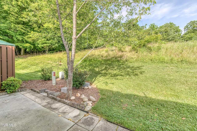 603 Stratford Ct Unit 603, Gray, TN 37615 - view of grassy yard