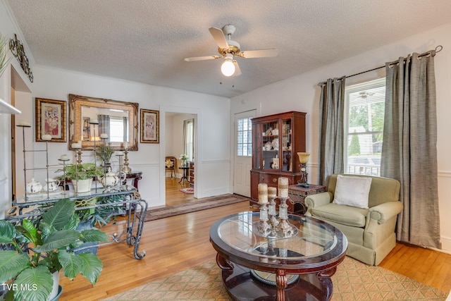 1634 Highland St, Kingsport, TN 37664 - living area featuring light wood-style flooring, a textured ceiling, healthy amount of natural light, and ceiling fan