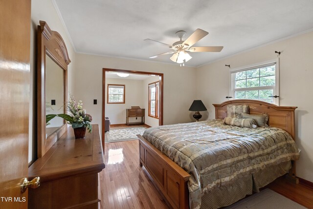 126 Poplar Hill Dr, Johnson City, TN 37604 - bedroom with multiple windows, ornamental molding, wood finished floors, and a ceiling fan