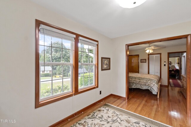 126 Poplar Hill Dr, Johnson City, TN 37604 - bedroom with light wood-style floors and a closet