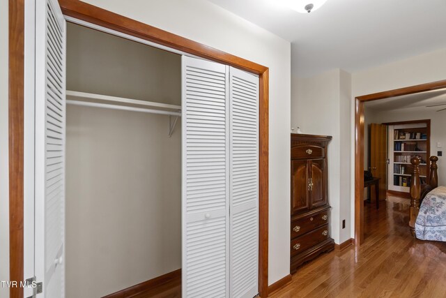 126 Poplar Hill Dr, Johnson City, TN 37604 - view of closet