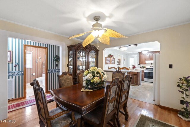 126 Poplar Hill Dr, Johnson City, TN 37604 - dining room with light wood-style flooring, a ceiling fan, healthy amount of natural light, and ornamental molding