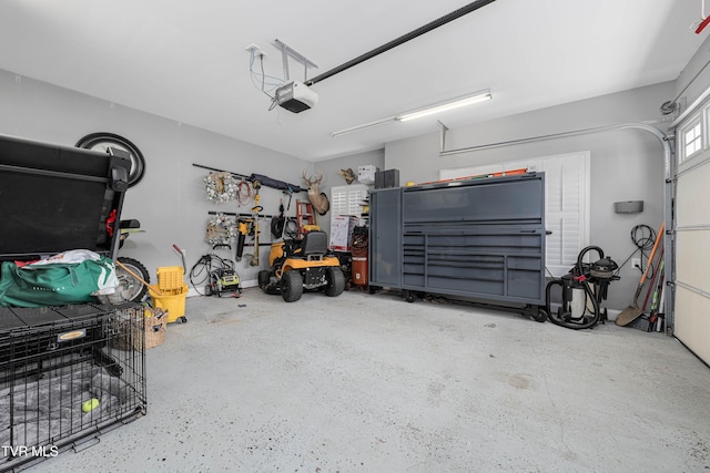 1124 Martingale Sq, Kingsport, TN 37663 - garage with a garage door opener