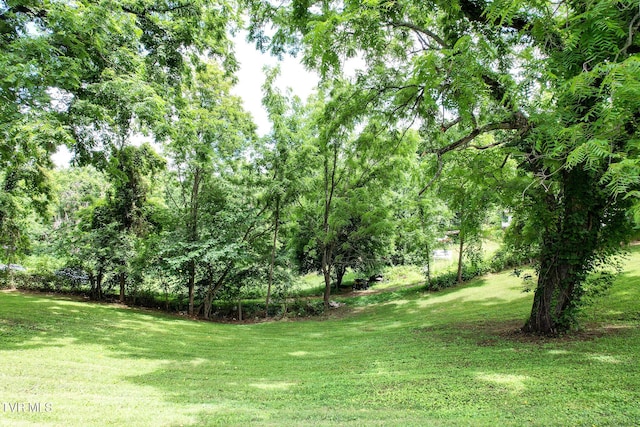 265 Hightop Rd, Midway, TN 37809 - view of green lawn