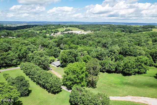 265 Hightop Rd, Midway, TN 37809 - drone / aerial view of a forest