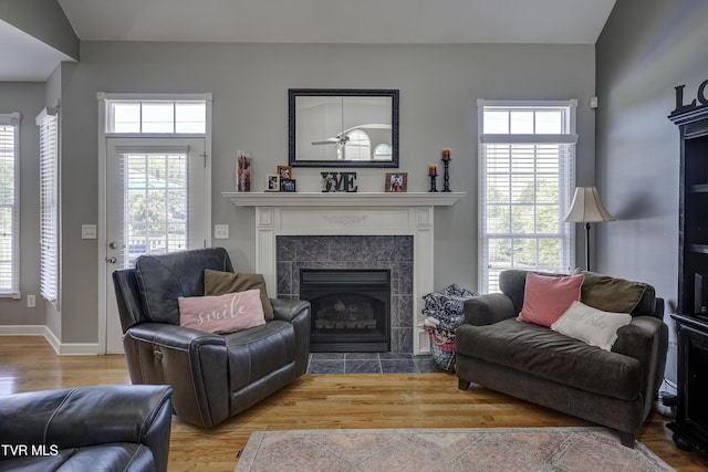 305 Emerald Chase Cir, Johnson City, TN 37615 - living area featuring a fireplace and wood finished floors