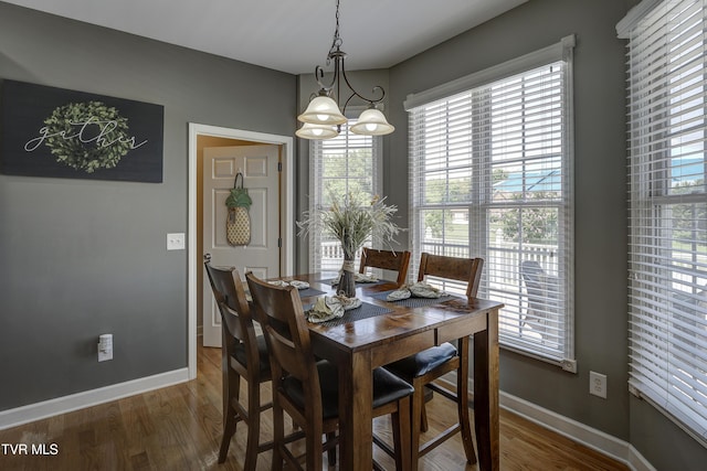 305 Emerald Chase Cir, Johnson City, TN 37615 - dining room featuring wood finished floors, plenty of natural light, and a chandelier