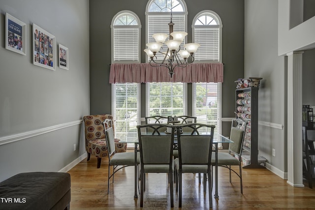 305 Emerald Chase Cir, Johnson City, TN 37615 - dining area with a towering ceiling, a chandelier, healthy amount of natural light, and wood finished floors