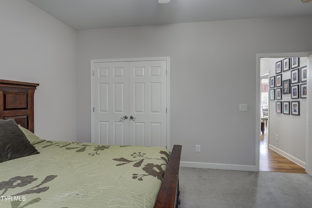 305 Emerald Chase Cir, Johnson City, TN 37615 - bedroom with carpet floors and a closet