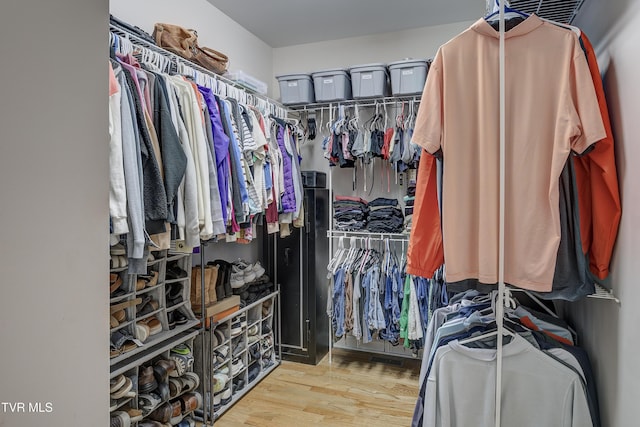 305 Emerald Chase Cir, Johnson City, TN 37615 - walk in closet with wood finished floors