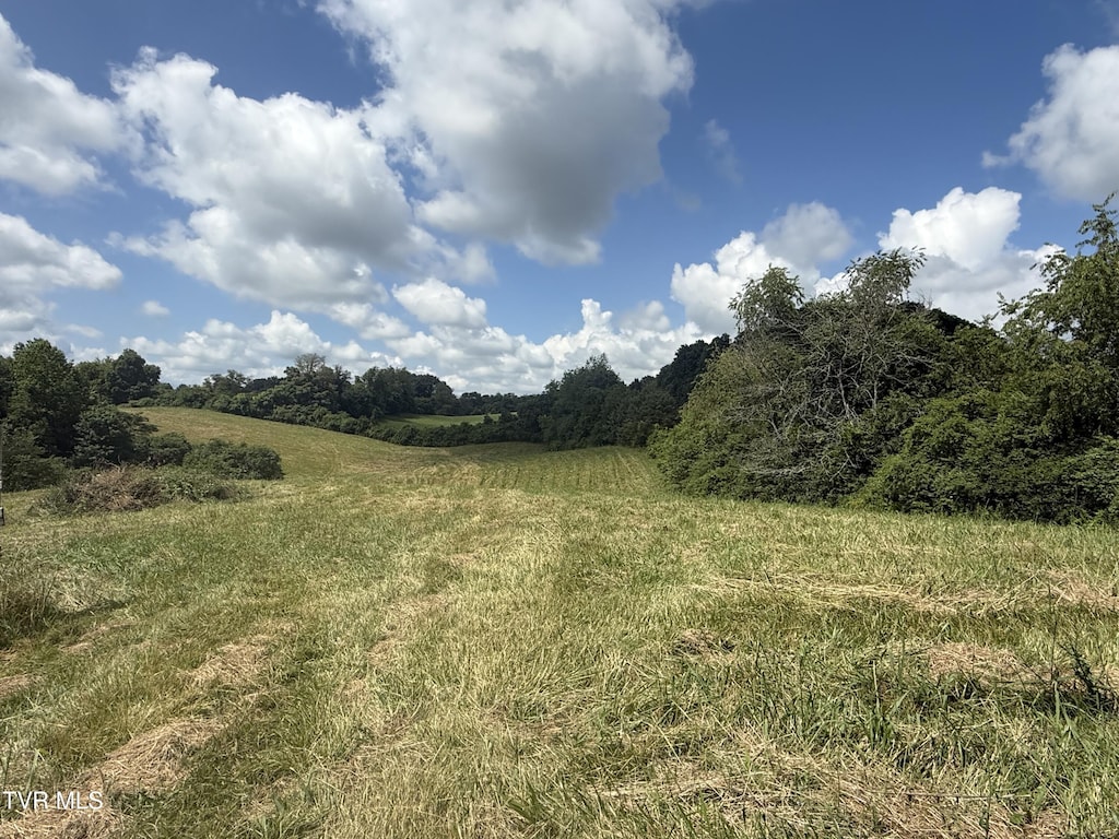 1589 Rocky Hollow Rd, Jonesborough, TN 37659 - photo 1