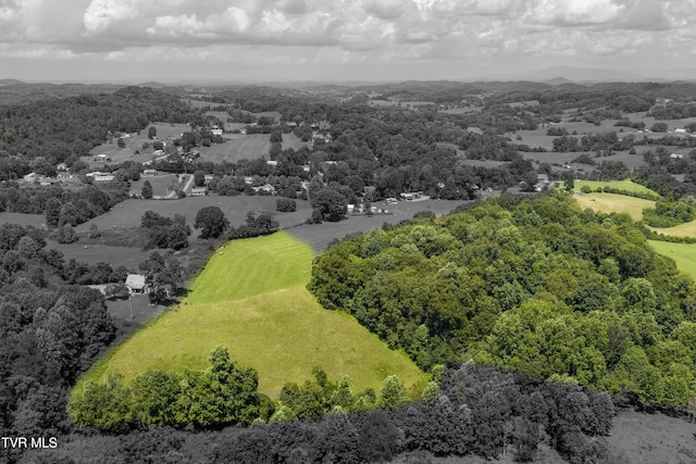 TBD Forester Ln, Jonesborough, TN 37659