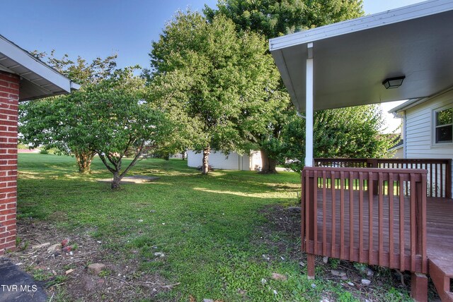 511 S Watauga Ave, Elizabethton, TN 37643 - photo 38
