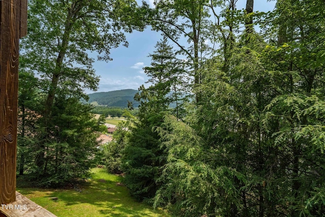196 Hiddenwood Dr, Mountain City, TN 37683 - photo 12
