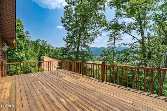 196 Hiddenwood Dr, Mountain City, TN 37683 - photo 16