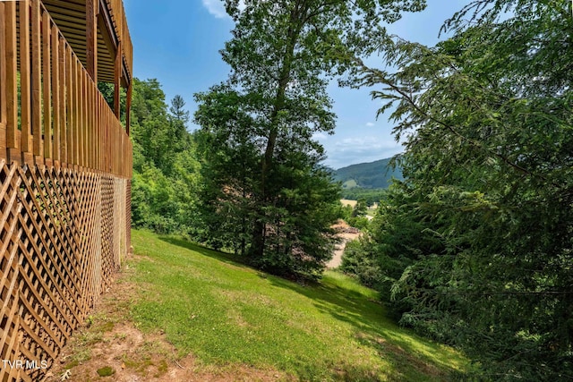 196 Hiddenwood Dr, Mountain City, TN 37683 - photo 19