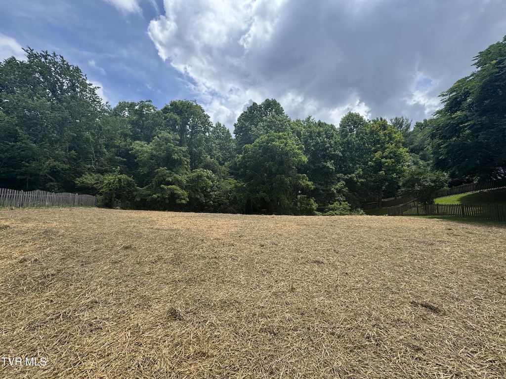 1308 Walnut Grove Rd, Jonesborough, TN 37659 - view of yard