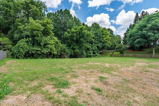 1308 Walnut Grove Rd, Jonesborough, TN 37659 - view of yard with a forest view