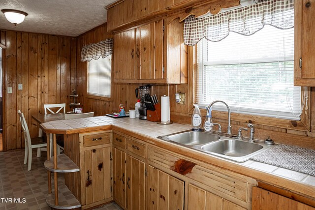 35 Hermitage St, Greeneville, TN 37745 - photo 27