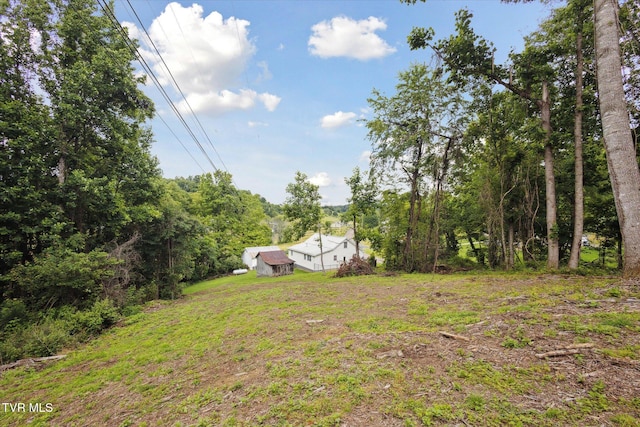 26417 Old Saltworks Rd, Abingdon, VA 24210 - view of yard featuring a forest view
