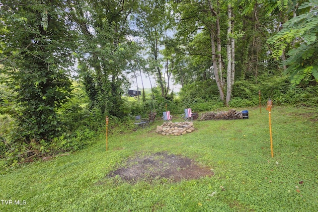 26417 Old Saltworks Rd, Abingdon, VA 24210 - view of yard with a fire pit