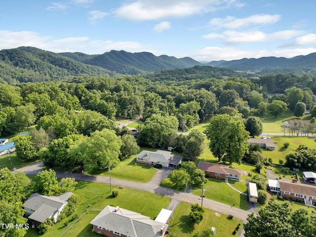 206 Cloverdale Pl, Bristol, TN 37620 - aerial view of mountains and a heavily wooded area