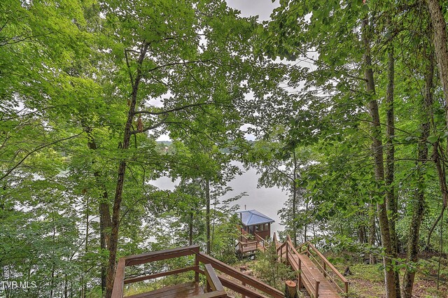 490 Hideaway Farm Rd, Piney Flats, TN 37686 - photo 66