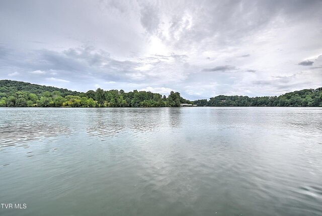 490 Hideaway Farm Rd, Piney Flats, TN 37686 - photo 75