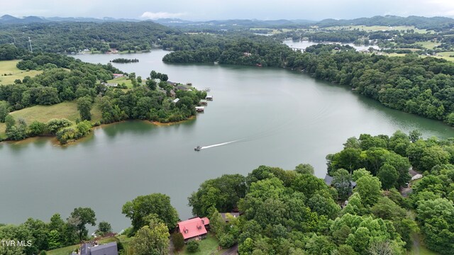 490 Hideaway Farm Rd, Piney Flats, TN 37686 - photo 90