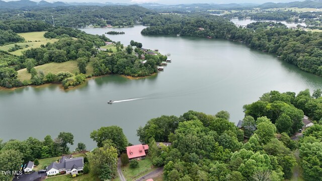 490 Hideaway Farm Rd, Piney Flats, TN 37686 - photo 91
