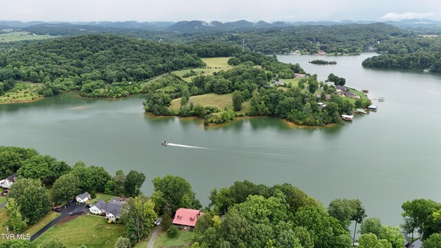 490 Hideaway Farm Rd, Piney Flats, TN 37686 - photo 93