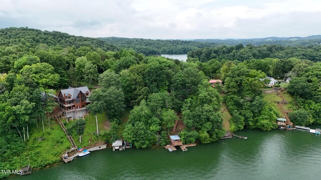 490 Hideaway Farm Rd, Piney Flats, TN 37686 - photo 104