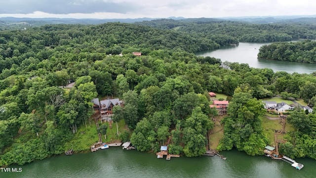 490 Hideaway Farm Rd, Piney Flats, TN 37686 - photo 106