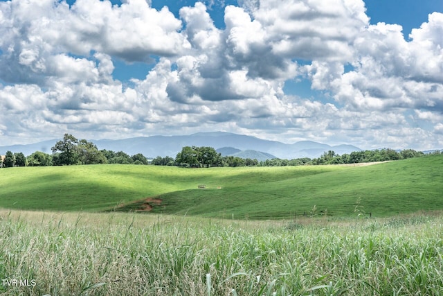 3655 W Allens Bridge Rd, Greeneville, TN 37743 - photo 44