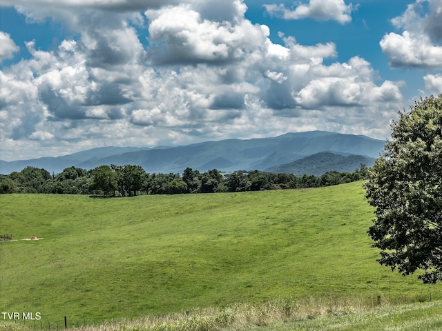 3655 W Allens Bridge Rd, Greeneville, TN 37743 - photo 8